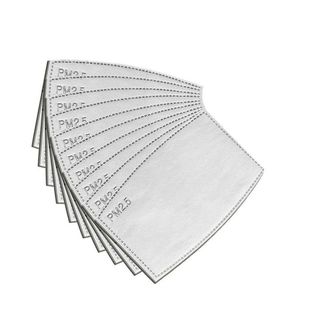 PM2.5 Filters (Pack of  10)