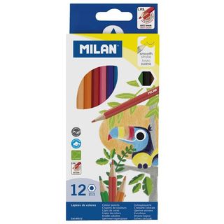 Coloured Pencils 12 Pack